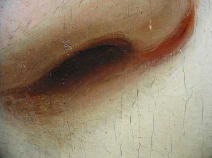 Fig.8 Detail at x8 magnification of the end of the nose
