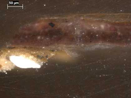Fig.8 Cross-section through a deep shadow in Elijah’s red cloak, photographed at x320 magnification.