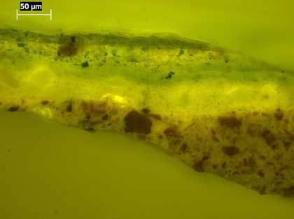 Fig.8 Cross-section through a mid-tone of the blue drapery, photographed at x320 magnification in ultraviolet light used with a blue filter.