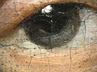 Fig.8 Detail of the sitter’s right eye at x8 magnification, showing wet-in-wet brushwork