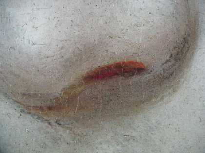 Fig.8 Detail of the nose at x8 magnification, showing traces of black, linear underdrawing