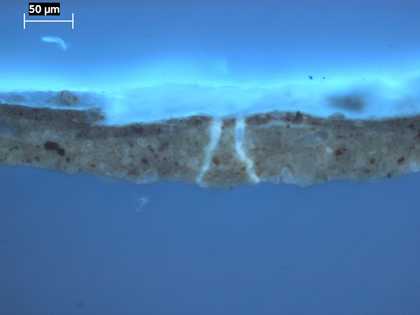 Fig.8 Cross-section through the reddish brown background, photographed at x320 magnification in ultraviolet light. From the bottom: fragment of fawn coloured ground; single layer of dense, dark red paint