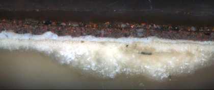 Fig.8 Cross-section through the plum coloured background. From the bottom: white ground, stained pink with Acid Fuchsin to identify the proteinaceous binding medium; thin, opaque, oil-bound, pale grey priming; dark grey underpaint; final coat of plum colo
