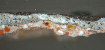 Fig.9 Cross-section through the sitter’s skirt, photographed at x160 magnification.
