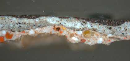 Fig.9 Cross-section through the sitter’s skirt, photographed at x160 magnification.