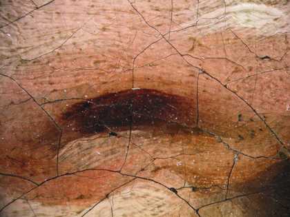 Fig.9 Detail of the sitter’s nostril at x8 magnification, showing wet-in-wet brushwork and final glazing of the darkest area