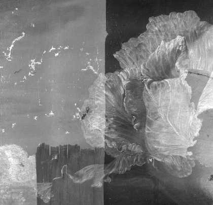 Fig.9 Infrared detail of the composition, showing superimposition of small elements over larger