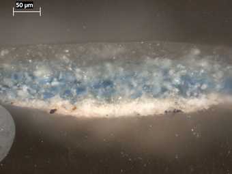 Fig.9 Cross-section through blue sky, photographed at x320 magnification.