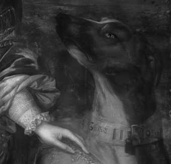 Fig.9 Infrared reflectograph detail of the dog’s head and collar
