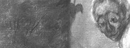 Fig.9 Infrared details of the animals and trees