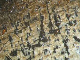Fig.9 Detail at x12.5 magnification of dark grey underpaint beneath the white highlights of the breastplate