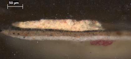 Fig.9 Cross-section through the yellow inscription on the brown background, photographed at x320 magnification.