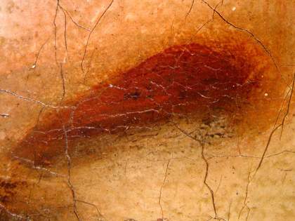 Fig.9 Detail of the sitter’s left nostril at x8 magnification