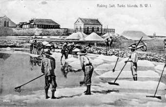 Postcard showing salt raking in Grand Turk, Turks and Caicos Islands, early twentieth century