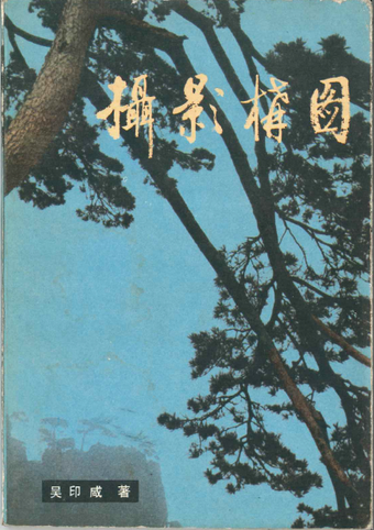 Wu Yinxian 120 Examples of Photographic Composition 1983 (cover) 