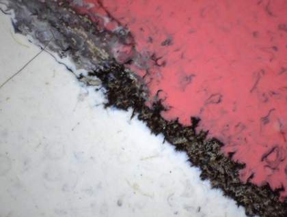 Detail of fluid black underpainting bleeding into wet pink and wet white paints between the face and the shirt