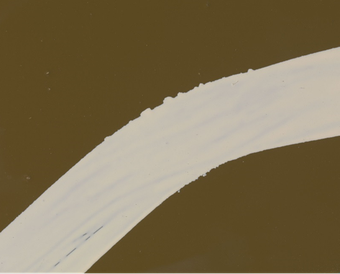 Close detail of the larger painting: part of one of the white lines in The Generals, showing small bumps and patches along the edge of the line where the white paint has bled beneath the masking tape and into the brown background.