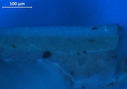 Cross-section of paint taken from loss, viewed under ultraviolet light, showing two distinct layers of white, with the bright spots in the upper layer indicating zinc white
