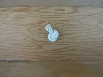 A piece of wood with the knotted end of a rope emerging from its surface.