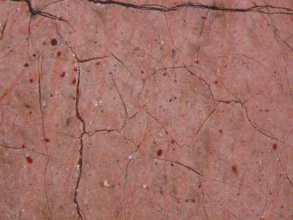 Fig.16 Detail photographed at x10 magnification of a flesh tone, showing large dark pigments and large red particles of vermilion