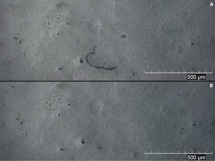 HIROX digital microscopic images before (top) and after (bottom) cleaning tests performed on the papier mâché section of Addendum with Boots sponge loaded in the EH6-TAC blend. Photo © Tate