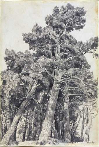 John Constable Fir Trees at Hampstead 1820