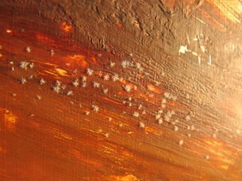 Detail of a painting by Sidney Nolan in layers of orange, brown and yellow paint, showing large crystals of fatty acid efflorescence resting on its surface. 