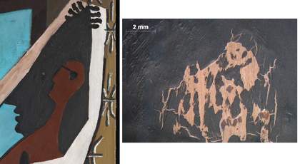 The dark head on the right and micrograph showing the eye