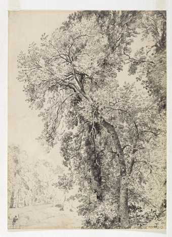 John Constable Study of Ash Trees c.1821