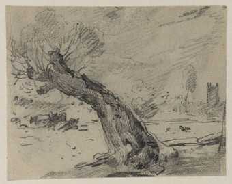 John Constable A Willow Stump 1821