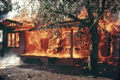 Larry Sultan and Mike Mandel, Untitled from Oranges on Fire 1975