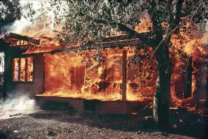 Larry Sultan and Mike Mandel, Untitled from Oranges on Fire 1975