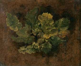 John Crome (attributed to) Study of Foliage undated