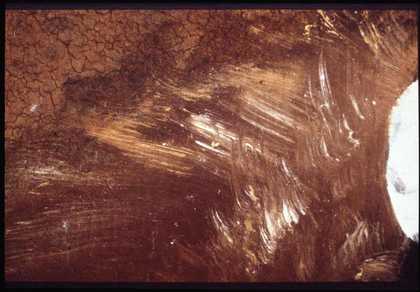 Fig.6 Detail of the fur collar