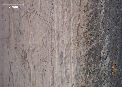 Micrograph of right edge, with good colour rendering, showing the grey ground to the right and a white paint layer to the left