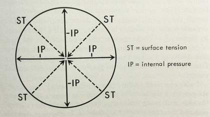 ‘Pressure from orgone inhibition’ in The Discovery of Orgone, Volume I: The Function of the Orgasm, New York 1973, p.261