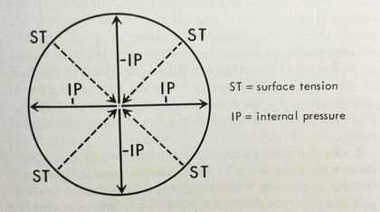 ‘Pressure from orgone inhibition’ in The Discovery of Orgone, Volume I: The Function of the Orgasm, New York 1973, p.261