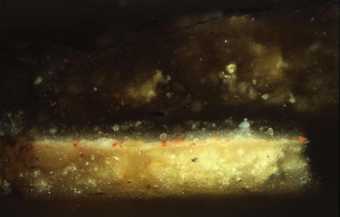 Fig.8 Cross-section through the background, showing from the bottom upwards: white ground; salmon pink priming; pale bluish grey underpaint; one layer of discoloured smalt (the second coat is not present in this sample)