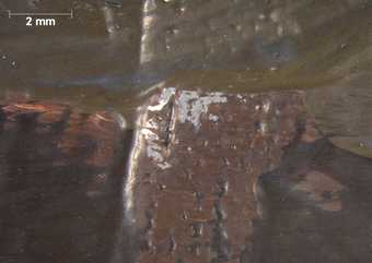 Micrograph showing the grey ground visible in between brushstrokes for the window casement