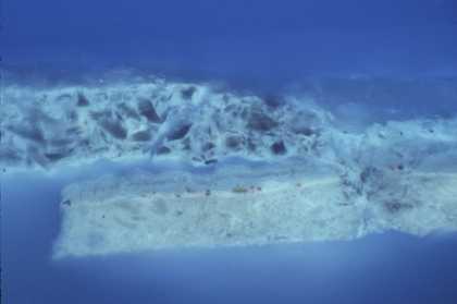 The same cross-section in ultraviolet light, which shows the particles of smalt more clearly