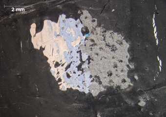 Photomicrograph of the centre of fig.9a, showing the exposed grey ground