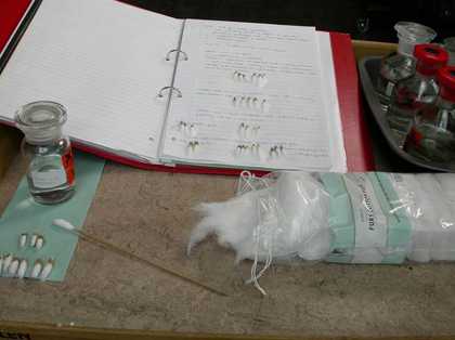 A folder of paper and some cotton wool