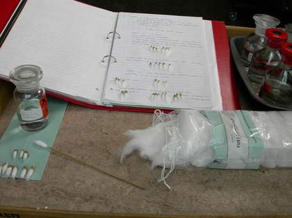 A folder of paper and some cotton wool