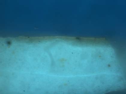 A paint sample under ultraviolet light: at the top is a dark blue stripe and at the bottom is a light blue stripe speckled with brown