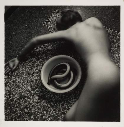 Curator Talk: Life in Motion
