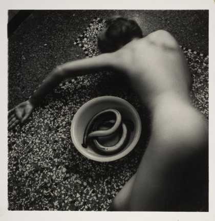 Curator Talk: Life in Motion