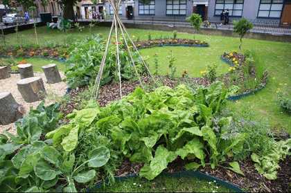 Fritz Haeg Edible Estates 2007, showig a community garden