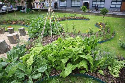 Fritz Haeg Edible Estates 2007, showig a community garden