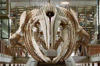 Gabriel Orozoco Detail of Gabriel Orozcos Mobile Matrix installed at the Jose Vasconcelos Library Mexico City 2006 grey whale skeleton installed in the library