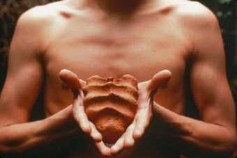 Gabriel Orozco My Hands Are My Heart 1991 colour photograph of a mans bare chest with his hands open in front of him holding a peice of clay with the mold of his fingers